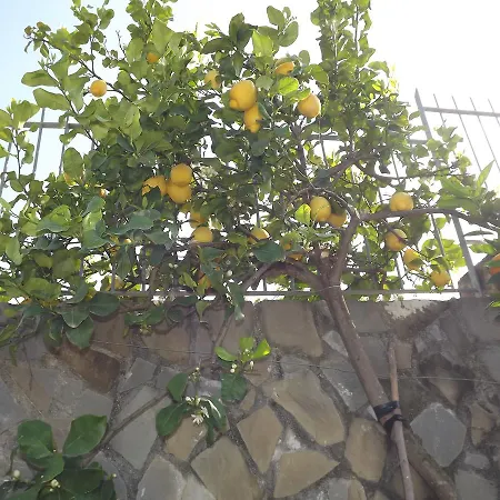 Bed & Breakfast Tour In Cilento Roccadaspide