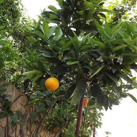 Tour In Cilento * Roccadaspide
